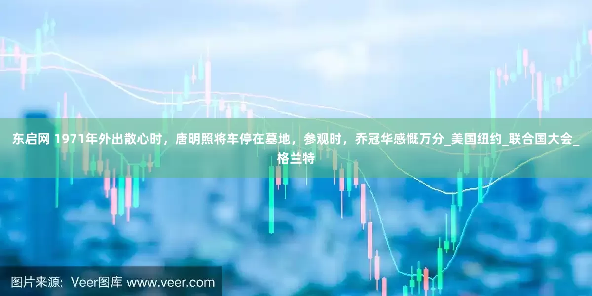 东启网 1971年外出散心时，唐明照将车停在墓地，参观时，乔冠华感慨万分_美国纽约_联合国大会_格兰特