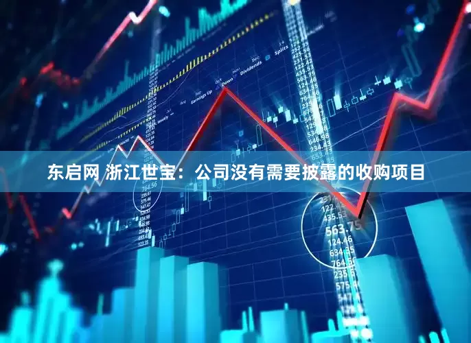 东启网 浙江世宝：公司没有需要披露的收购项目