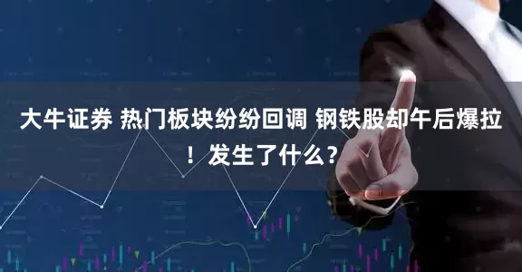 大牛证券 热门板块纷纷回调 钢铁股却午后爆拉！发生了什么？