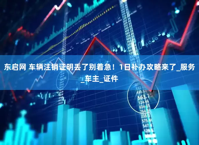 东启网 车辆注销证明丢了别着急！1日补办攻略来了_服务_车主_证件