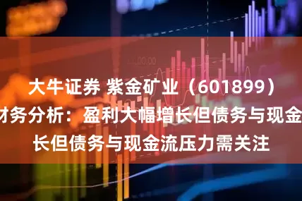 大牛证券 紫金矿业（601899）2025年中报财务分析：盈利大幅增长但债务与现金流压力需关注