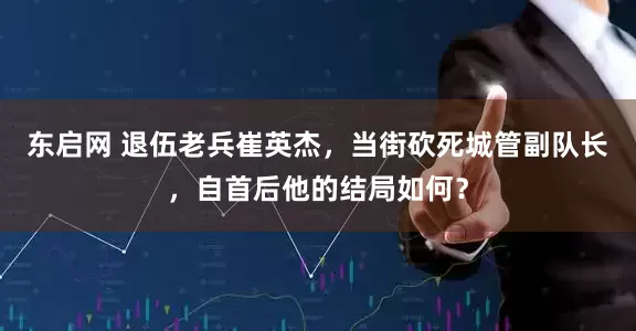 东启网 退伍老兵崔英杰，当街砍死城管副队长，自首后他的结局如何？