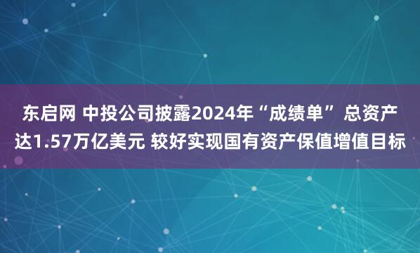 东启网 中投公司披露2024年“成绩单” 总资产达1.57万亿美元 较好实现国有资产保值增值目标